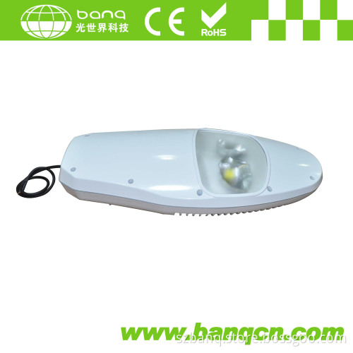100W LED Street Light (CE/RoHS)